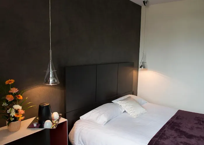 Hotel Le Domaine Des Lys Ancenis